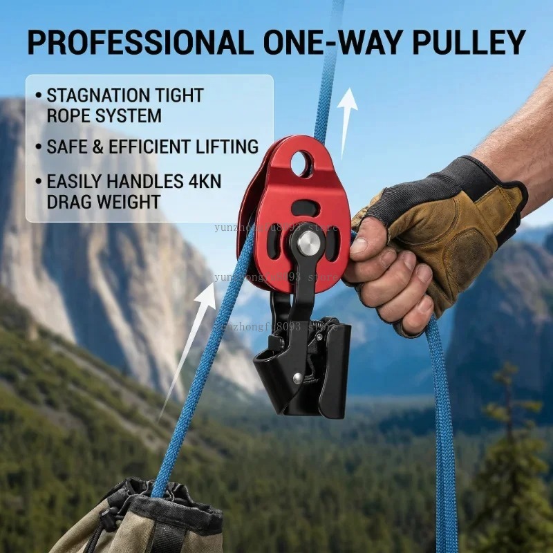 (PULLEAU DE LIFTING UNIDIRECTI - Heavy Equipment Lifting avis et prix
