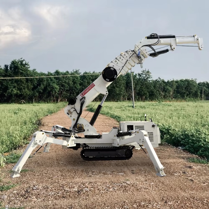 Mini-grue araignée compacte, c - Compact Crawler Boom Lift avis et prix